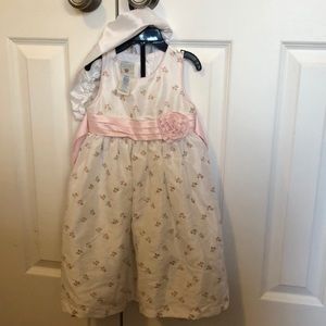 Pink Rose Embroidered Dress